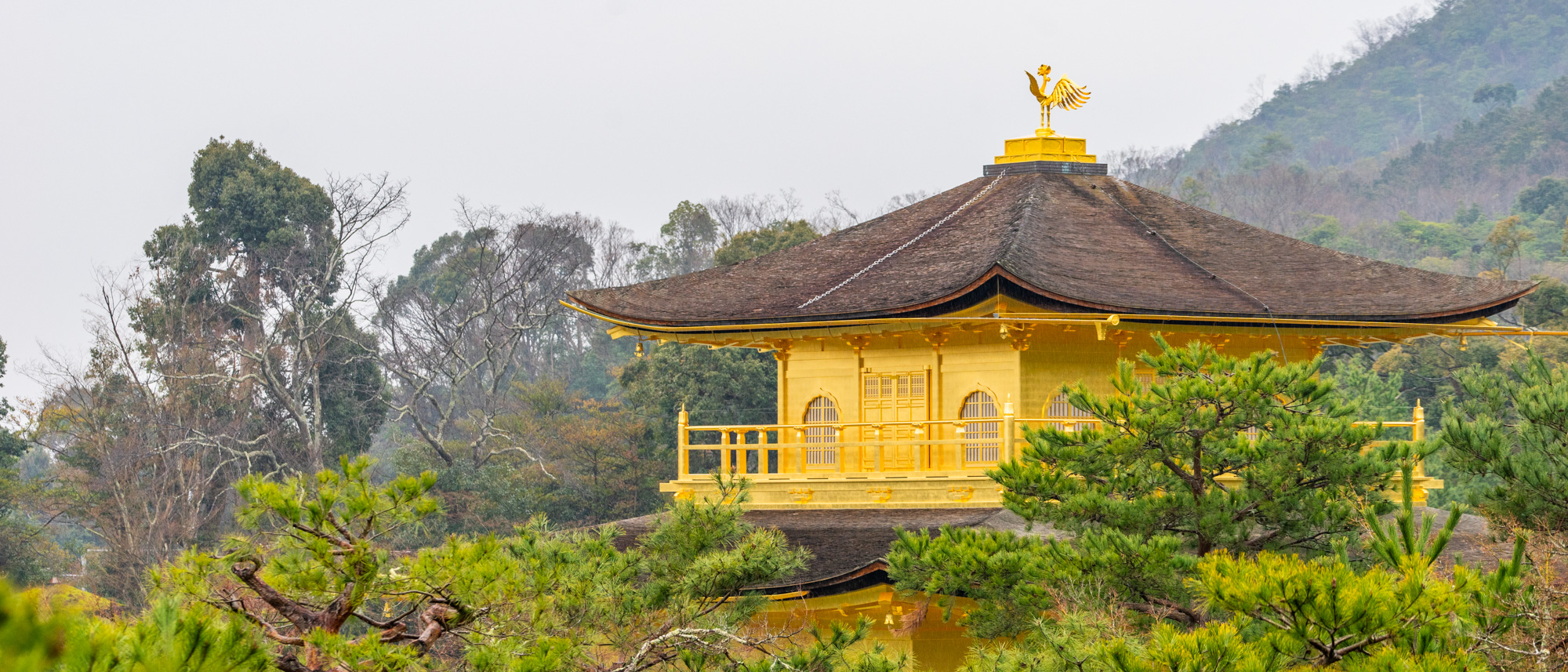 2019日本行 – 第四天雨中漫步Kyoto二条城，天满宫，龙安寺和金阁寺